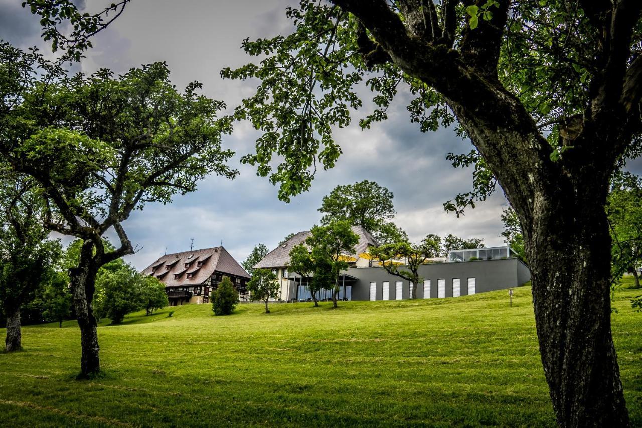 Hotel Hofgut Hohenkarpfen Hausen ob Verena Zewnętrze zdjęcie