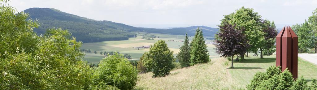 Hotel Hofgut Hohenkarpfen Hausen ob Verena Zewnętrze zdjęcie