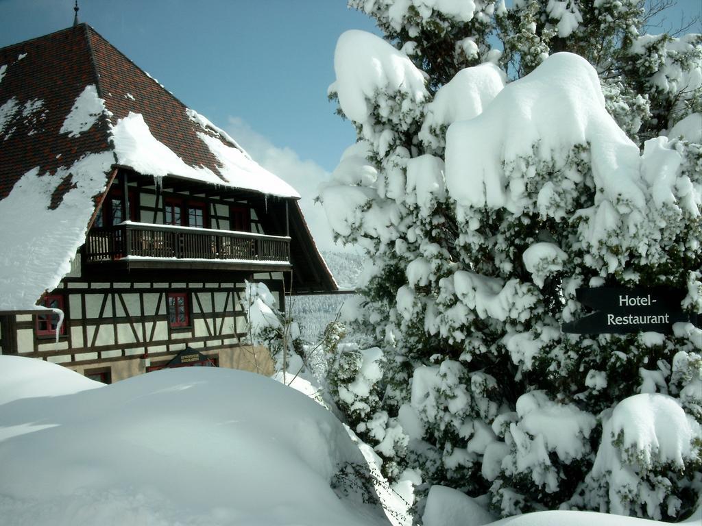 Hotel Hofgut Hohenkarpfen Hausen ob Verena Zewnętrze zdjęcie